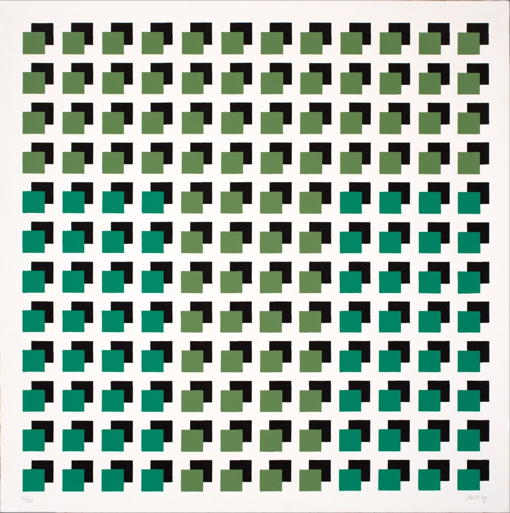 Vicente Rojo, Negación S6 (1974)